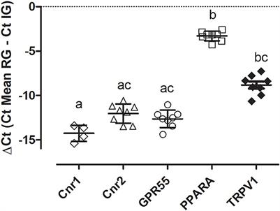 Expression of cannabinoid (CB1 and CB2) and cannabinoid-related receptors (TRPV1, GPR55, and PPARα) in the synovial membrane of the horse metacarpophalangeal joint